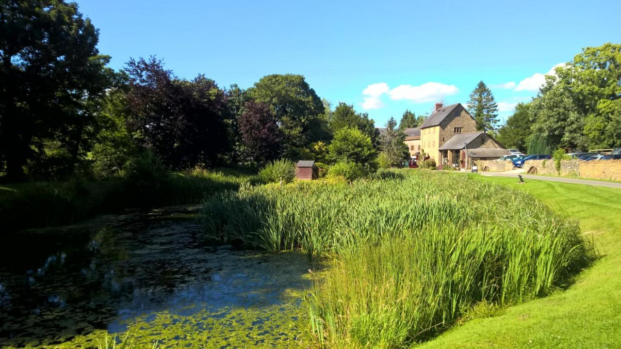 Hotel Haselbury Mill Crewkerne Esterno foto